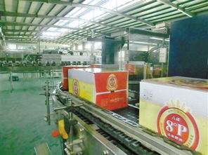 西藏以 特 制勝興產業