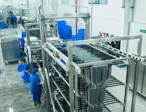 小紅薯如何做成大產業 一個武陵山區縣構建特色產業鏈觀察