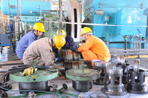 河南安陽殷都區(qū) 不負春光 搶抓生產